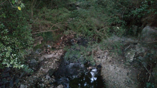 Nature Preserve «Daniel Johnson Nature Preserve», reviews and photos, 1301 Beech Valley Rd NE, Atlanta, GA 30306, USA