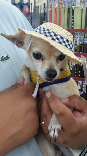 Pet Supply Store «Petco Animal Supplies», reviews and photos, 3384 Tyler St, Riverside, CA 92503, USA