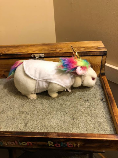 Pet Supply Store «PetSmart», reviews and photos, 1521 Golden Gate Plaza, Mayfield Heights, OH 44124, USA