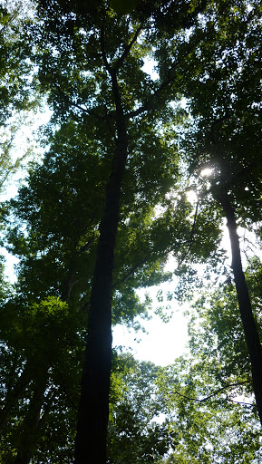 Planetarium «Fernbank Science Center», reviews and photos, 156 Heaton Park Dr, Atlanta, GA 30307, USA