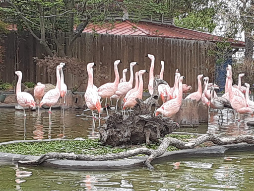 Water Park «Aquatica San Antonio», reviews and photos, 10500 Sea World Dr, San Antonio, TX 78251, USA