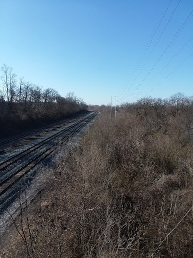 Park «Lou Berliner Park», reviews and photos, 1300 Deckenbach Rd, Columbus, OH 43223, USA