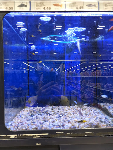 Grocery Store «Meijer», reviews and photos, 13000 Middlebelt Rd, Livonia, MI 48150, USA