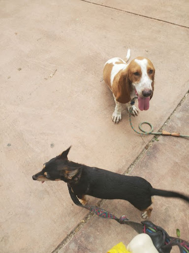 Park «Oakwell TrailHead Park», reviews and photos, 150 Ira Lee Rd, San Antonio, TX 78218, USA