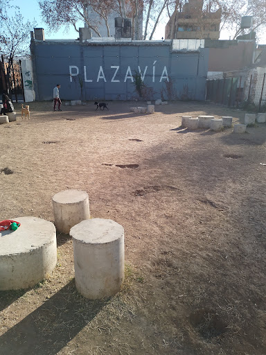 Plaza para perros