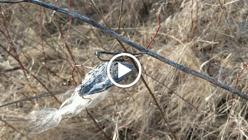 Nature Preserve «Duke Farms», reviews and photos, 1112 Dukes Pkwy W, Hillsborough Township, NJ 08844, USA