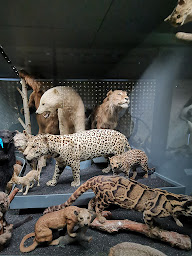 Photo n°63 de Le Moaï à Toulouse ()