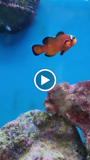 Pet Supply Store «Petco Animal Supplies», reviews and photos, 7223 Coastal Blvd, Brooksville, FL 34613, USA