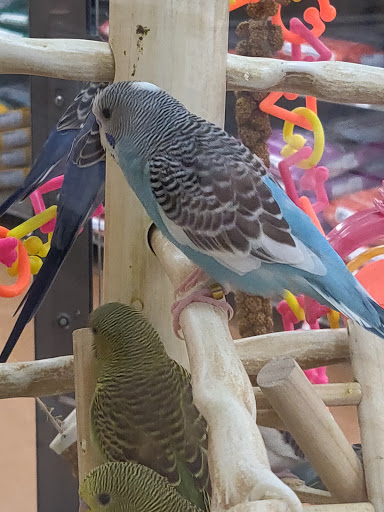 Pet Supply Store «Petco Animal Supplies», reviews and photos, 1 US-46, Totowa, NJ 07512, USA