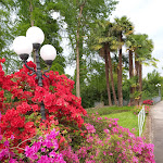 Photo n°1 de l'avis de Clementino.a fait le 07/05/2022 à 18:11 sur le  Ristorante al Piave à Boffalora Sopra Ticino