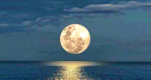 Surf Shop «Surf The Earth», reviews and photos, 47 Da Gullah Way, Pawleys Island, SC 29585, USA