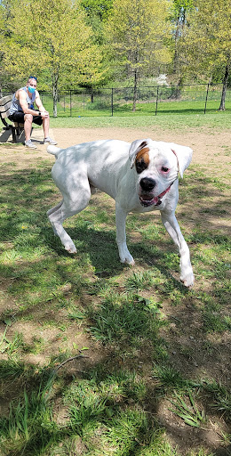 Dog Park «Worthington Off Leash Dog Park», reviews and photos, 8170 Hillsborough Rd, Ellicott City, MD 21043, USA