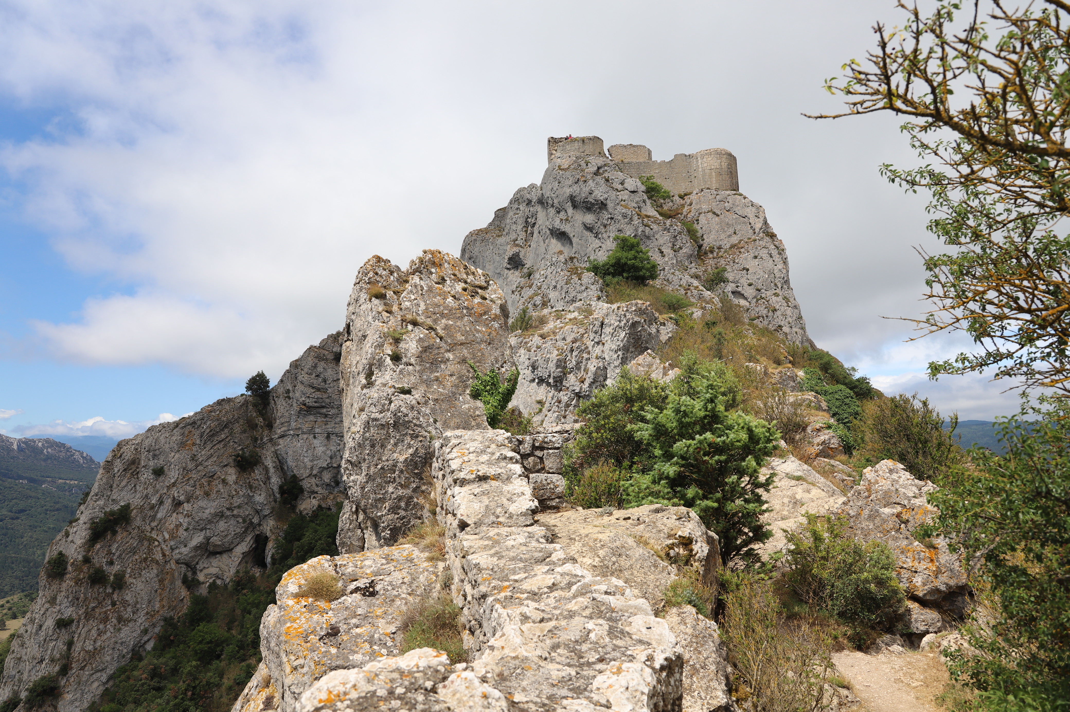 Photo n° 6 de l'avis de Joel.i fait le 04/08/2021 à 11:37