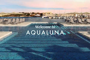 Aqualuna Malta image