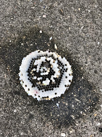 Rest Easy Pest Control - Photo 2 - Car repair in New York, NY, New York