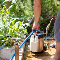 Sunrise Pest & Turf Management - Photo 6 - Car repair in Bremerton, WA, Bremerton