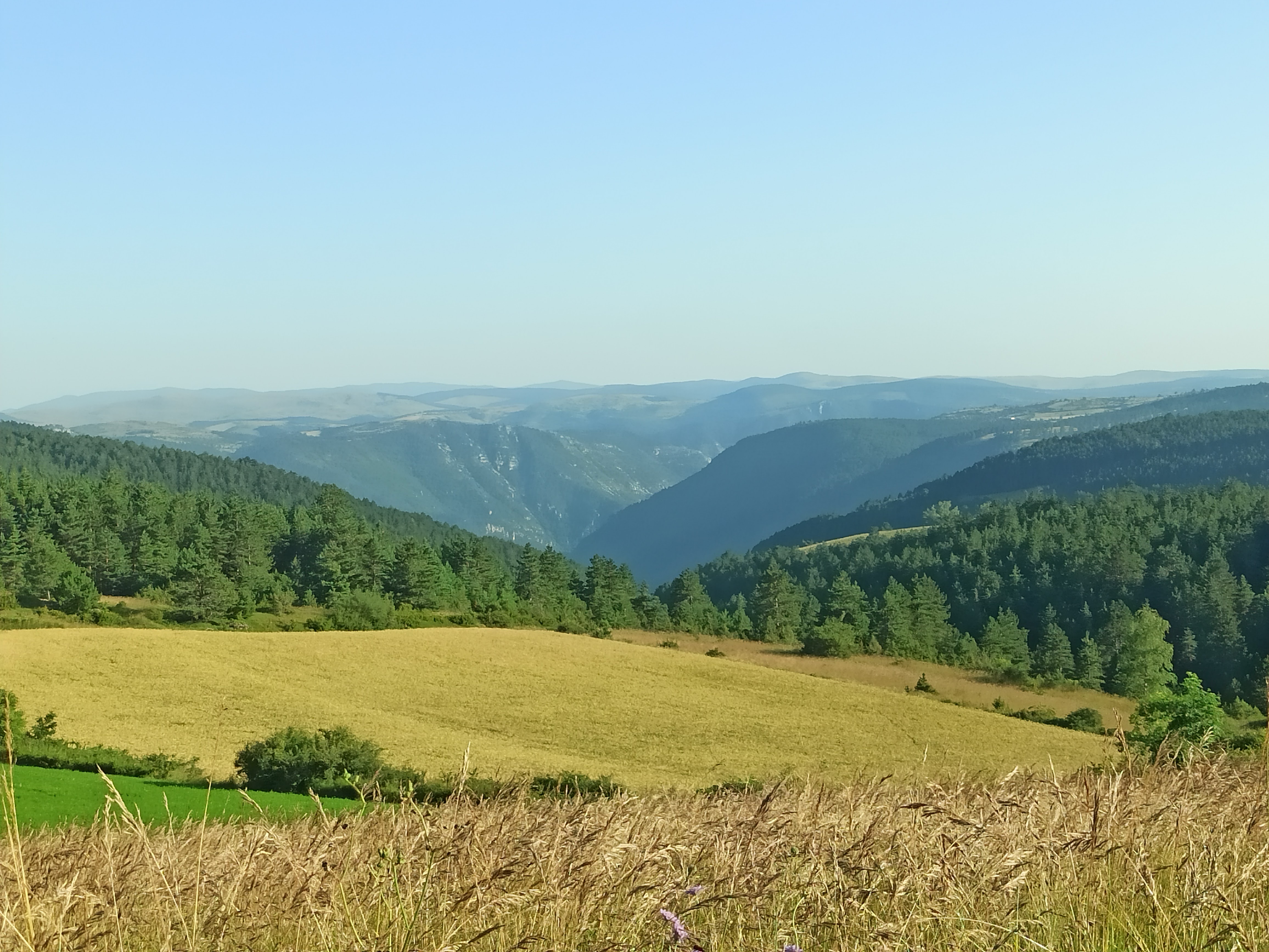 Photo n° 1 de l'avis de Veltas. fait le 17/07/2023 à 13:44