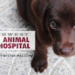 Northwest Animal Hospital