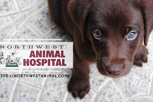Northwest Animal Hospital image