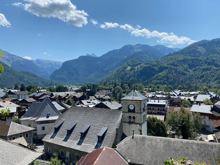 Alpine Property - Samoëns à Samoëns (Haute-Savoie 74)