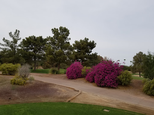 Golf Course «Raven Golf Club - Phoenix», reviews and photos, 3636 E Baseline Rd, Phoenix, AZ 85042, USA