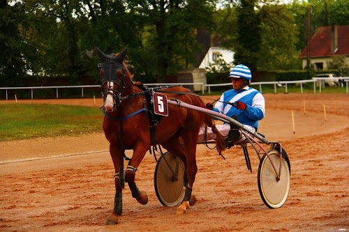 Brazon Vincent à Hérouvillette