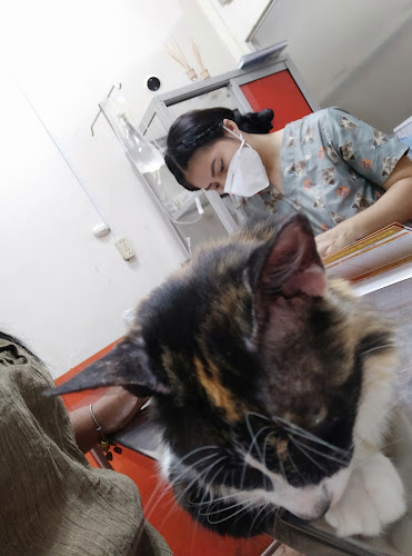 ANIMAL CENTER Veterinaria - Peluqueria Canina