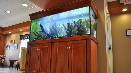 Tropical Fish Store «Aquatica Aquarium Gallery», reviews and photos, 6653 Grafton Rd, Valley City, OH 44280, USA