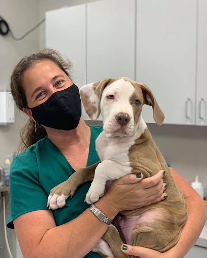 Austin Veterinary Animal Hospital