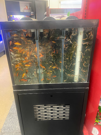 Pet Supply Store «Petco Animal Supplies», reviews and photos, 430 N Euclid St, Anaheim, CA 92801, USA