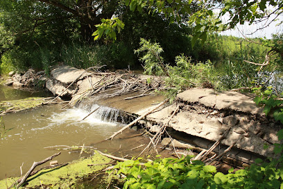 Drumquin Park: Creek Restoration Project