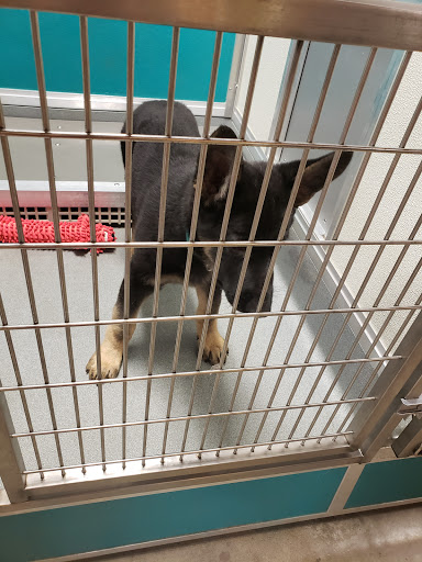 Pet Supply Store «Keystone Pet Place», reviews and photos, 100 W Main St, Mount Joy, PA 17552, USA