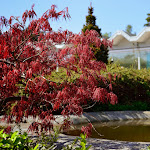 Photo n°10 de l'avis de Holger.a fait le 19/01/2020 à 09:47 sur le  IFA Graal-Müritz Hotel & Spa à Graal-Müritz