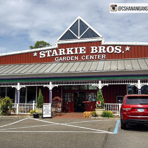 Starkie Bros Garden Center image 4