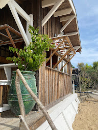 Photo n°37 de Chai Anselme - Dégustation d'huîtres - Le Canon à Lège-Cap-Ferret ()