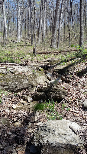 Nature Preserve «Engelmann Woods Natural Area», reviews and photos, 2360 Hwy D, Boles Township, MO 63304, USA