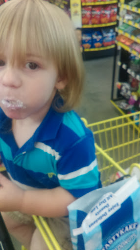 Home Goods Store «Dollar General», reviews and photos, 11573 Hwy 82 E, Duncanville, AL 35456, USA