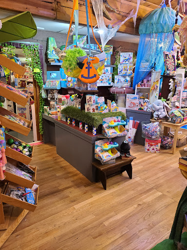 Toy Store «Why Not Toys», reviews and photos, 319 Gentry St, Spring, TX 77373, USA