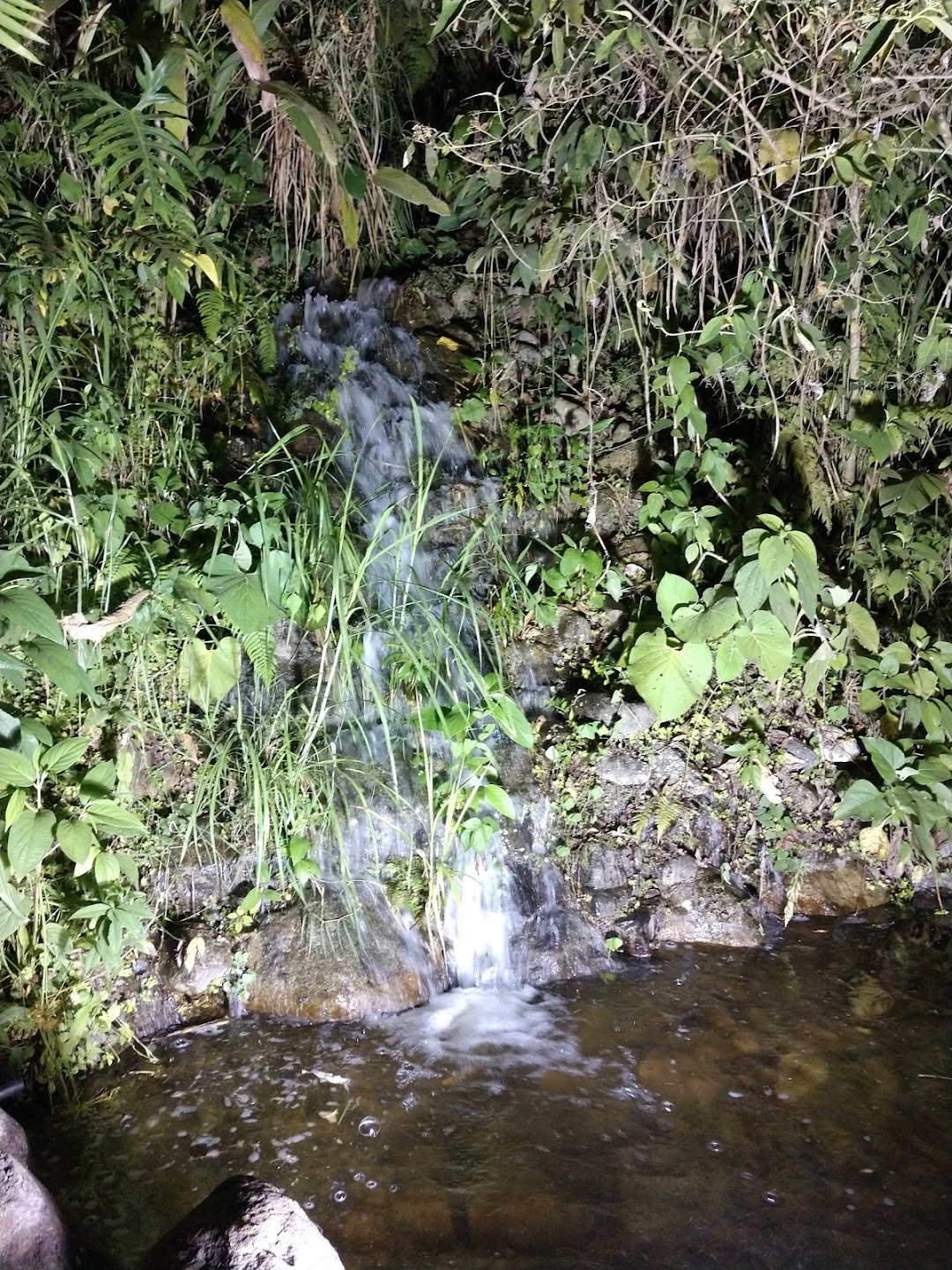 Centro de Eventos Amazonia