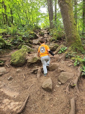 Pinnacle Peak - photo 9