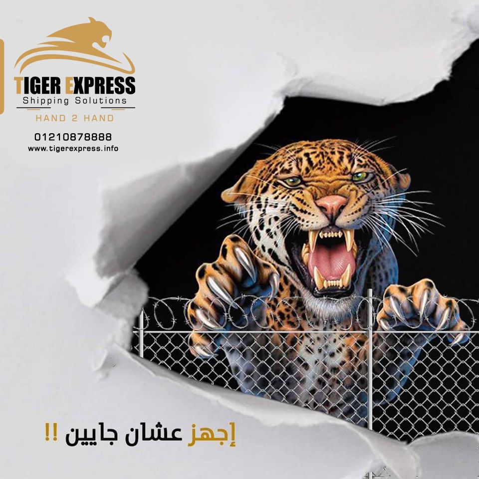 تايجر اكسبريس - Tiger Exprss