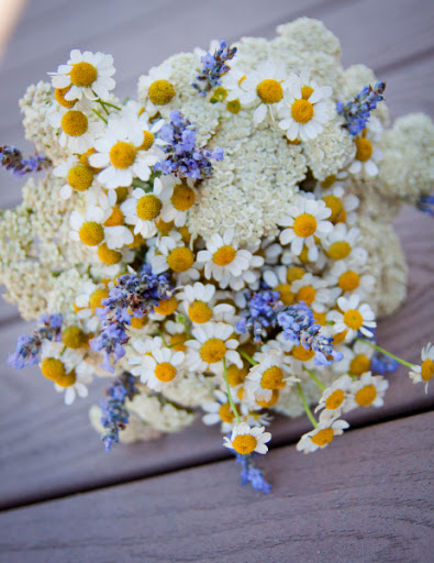 Florist «Petals On Main», reviews and photos, 400 Main St, Rio Vista, CA 94571, USA