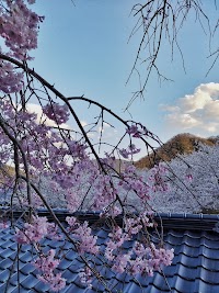 國司大明神