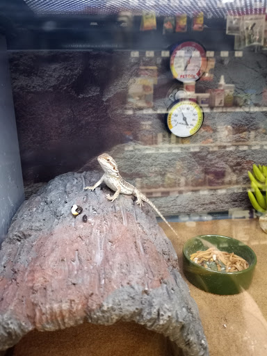 Pet Supply Store «Petco Animal Supplies», reviews and photos, 420 El Cerrito Plaza, El Cerrito, CA 94530, USA