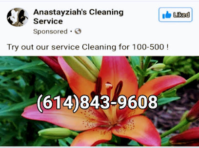 Anastayziah's Cleaning