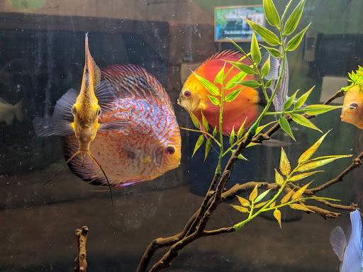 Aquarium «SeaQuest Interactive Aquarium Las Vegas», reviews and photos, 3528 S Maryland Pkwy #340, Las Vegas, NV 89169, USA