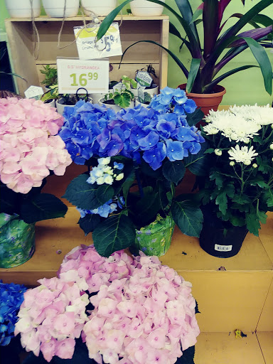 Supermarket «Save Mart Supermarkets», reviews and photos, 3601 Pelandale Ave, Modesto, CA 95356, USA