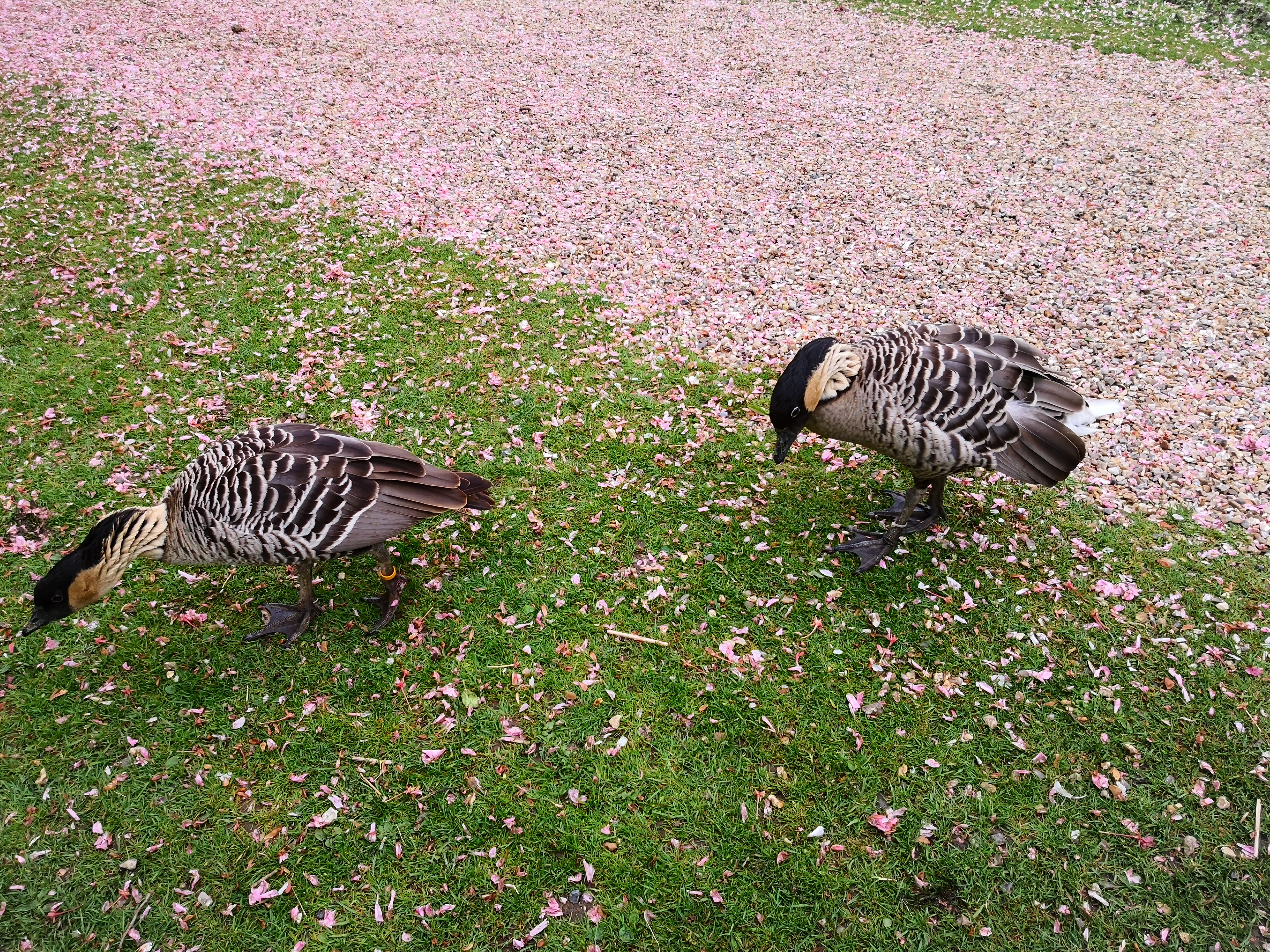 Photo n° 11 de l'avis de Mélanie. fait le 02/05/2019 à 08:22