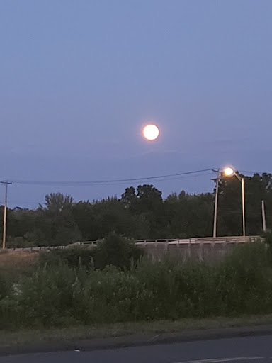 Coffee Shop «Starbucks», reviews and photos, 14 Fenn Rd, Newington, CT 06111, USA