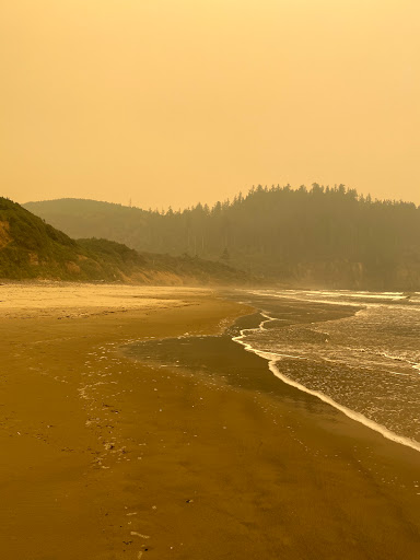 Roofing Contractor «A Good Roof», reviews and photos, 5815 Sea View Ave, Tillamook, OR 97141, USA